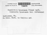 Image Associated With the Occurence